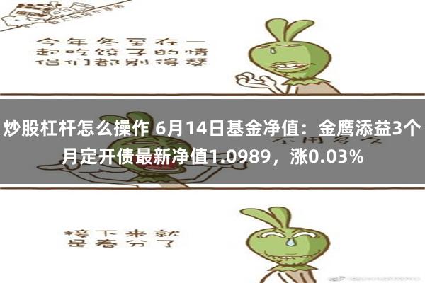 炒股杠杆怎么操作 6月14日基金净值：金鹰添益3个月定开债最新净值1.0989，涨0.03%