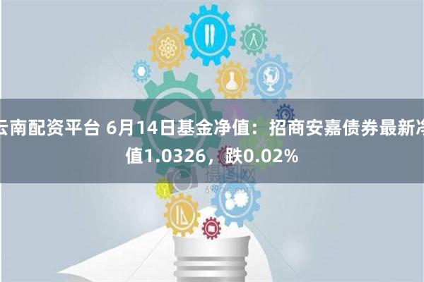 云南配资平台 6月14日基金净值：招商安嘉债券最新净值1.0326，跌0.02%