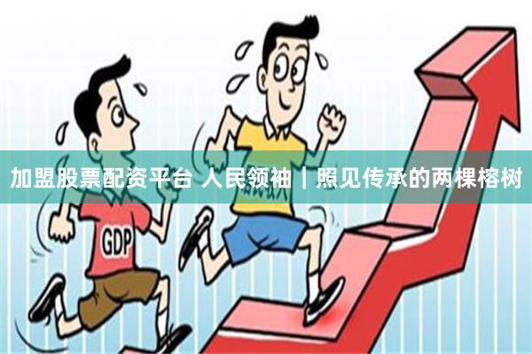 加盟股票配资平台 人民领袖｜照见传承的两棵榕树