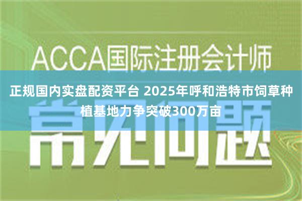 正规国内实盘配资平台 2025年呼和浩特市饲草种植基地力争突破300万亩