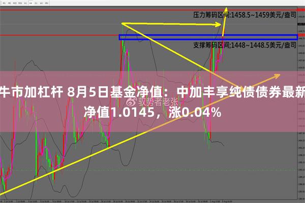 牛市加杠杆 8月5日基金净值：中加丰享纯债债券最新净值1.0145，涨0.04%