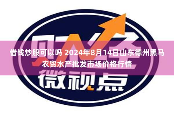 借钱炒股可以吗 2024年8月14日山东德州黑马农贸水产批发市场价格行情