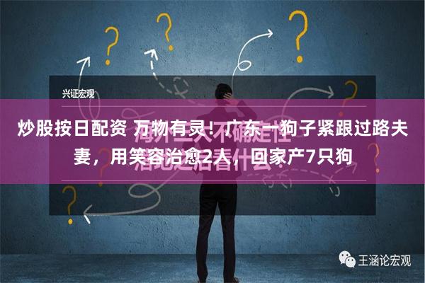 炒股按日配资 万物有灵！广东一狗子紧跟过路夫妻，用笑容治愈2人，回家产7只狗