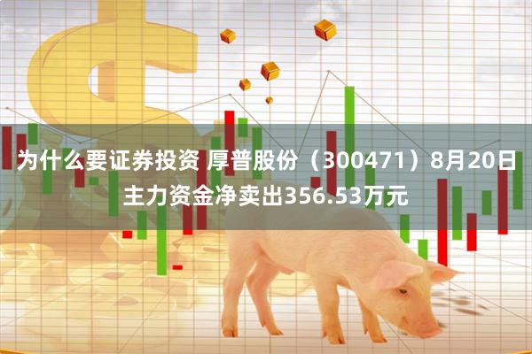 为什么要证券投资 厚普股份（300471）8月20日主力资金净卖出356.53万元