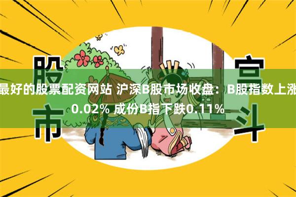 最好的股票配资网站 沪深B股市场收盘：B股指数上涨0.02% 成份B指下跌0.11%