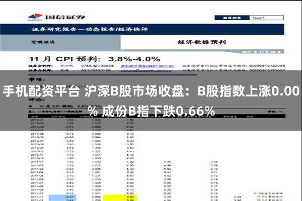 手机配资平台 沪深B股市场收盘：B股指数上涨0.00% 成份B指下跌0.66%