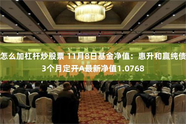 怎么加杠杆炒股票 11月8日基金净值：惠升和赢纯债3个月定开A最新净值1.0768